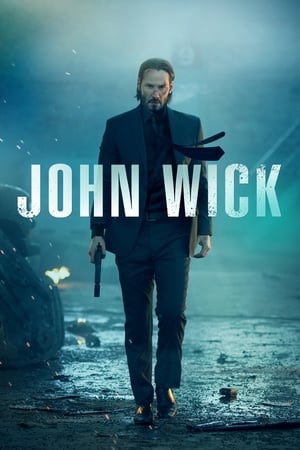 John Wick (2014) Hindi Dual Audio | Hindi Dubbed Movie BluRay 300MB ESubs