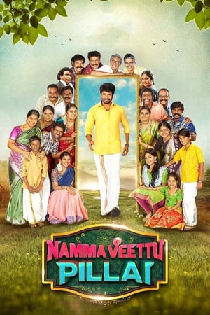 Namma Veettu Pillai (2019) (Hindi – Tamil) Dual Audio | Hindi Dubbed Movie UnCut HDRip 450MB
