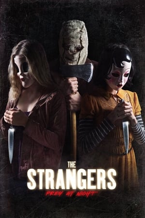 The Strangers: Prey at Night (2018) Hindi Dual Audio | Hindi Dubbed Movie BluRay 300MB