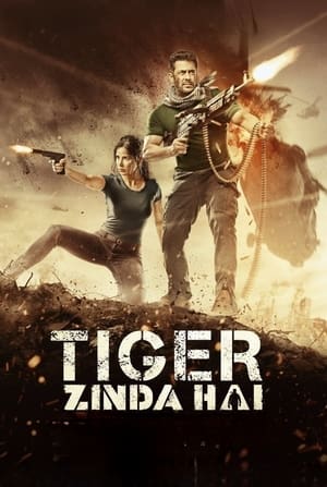Tiger Zinda Hai 2017 490MB Movie | Hindi Dubbed Movie BluRay Download